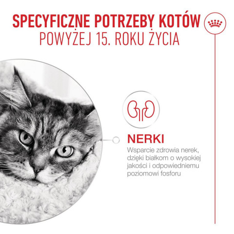 ROYAL CANIN Ageing 15+ - suché krmivo pro kočky - 2kg - Fotogalerie 4