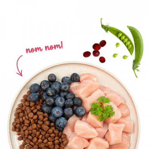 BOSCH Sanabelle Adult Chicken & Blueberries - suché krmivo pro kočky - 2kg - Fotogalerie 3