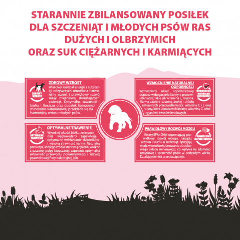 PUPIL Premium Junior Large and extra large breeds Rich in beef - suché krmivo pro psy - 12kg - Fotogalerie 4