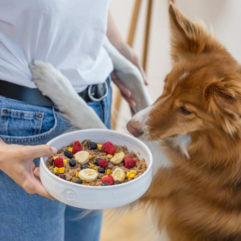 PERRO Mix & Match Zucchini - pamlsek pro psa - 20g - Fotogalerie 2