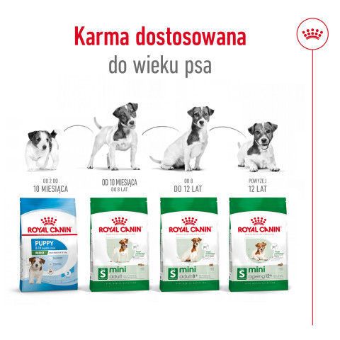 ROYAL CANIN Adult Mini S - suché krmivo pro psy - 4kg - Fotogalerie 6