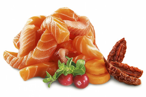 SHELMA Salmon and trout pate - mokré krmivo pro kočky - 24x100g - Fotogalerie 5
