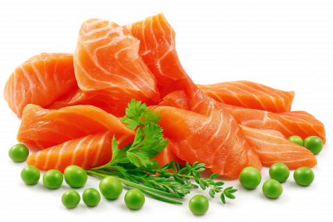 SHELMA Sterilised Salmon - suché krmivo pro kočky - 1,4kg - Fotogalerie 3