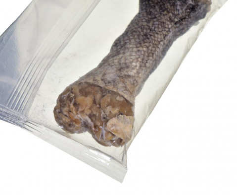 JOHN DOG Chewing bone with cod - žvýkačka pro psy - 12 cm - Fotogalerie 2