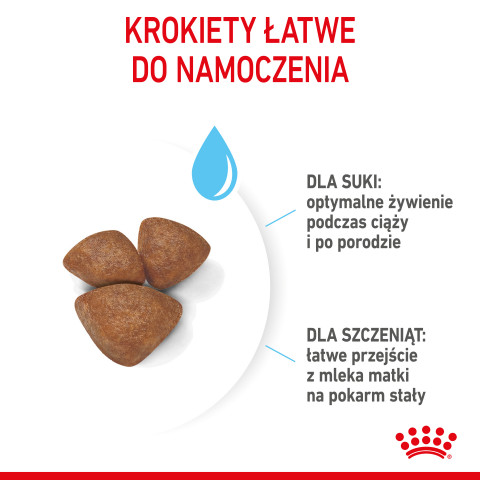 Royal Canin Mini Starter Mother & Babydog Dospělí Drůbež 1 kg - Fotogalerie 11