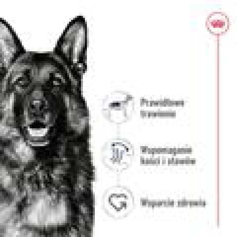 ROYAL CANIN Maxi Adult - suché krmivo pro psy - 15 kg + SHN Maxi Adult Loaf Can 410g GRATIS - Fotogalerie 3