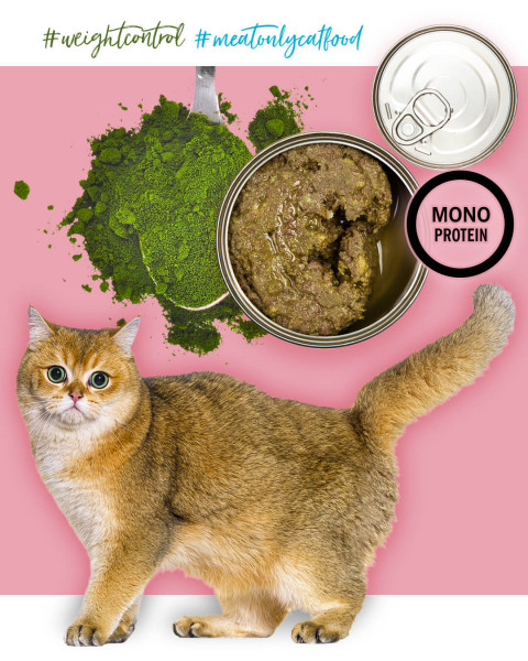 3COTY Turkey with chlorella Sterilised and overweight cats - mokré krmivo pro kočky - 6x80g - Fotogalerie 6