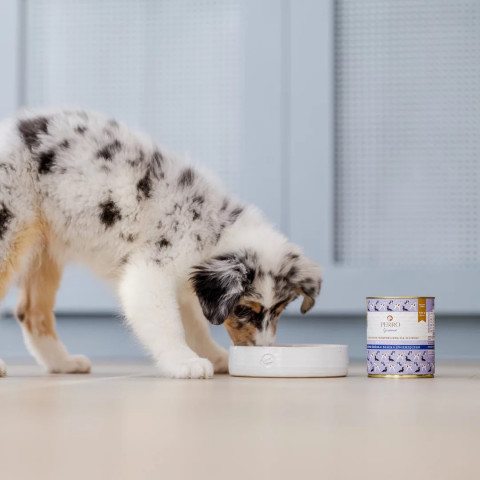 PERRO Junior Rabbit with pumpkin - vlhké krmivo pro psy - 400g - Fotogalerie 3