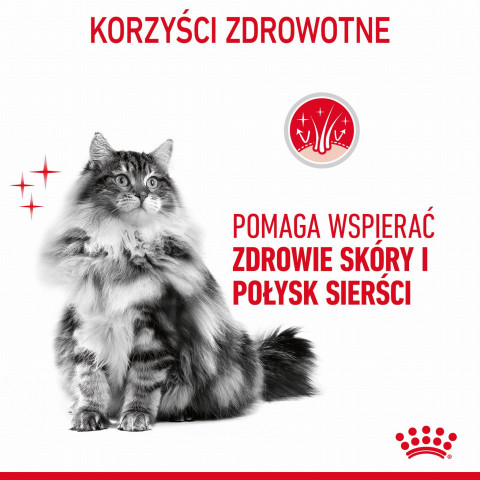 ROYAL CANIN Hair & Skin Care - mokré krmivo pro kočky - 12x85g - Fotogalerie 3