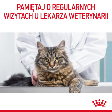 ROYAL CANIN Urinary Care in Gravy 12x85g - Fotogalerie 8