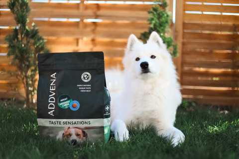 ADDVENA Taste Sensations Adult Medium/Large Turkey - suché krmivo pro psy - 2,5kg - Fotogalerie 3