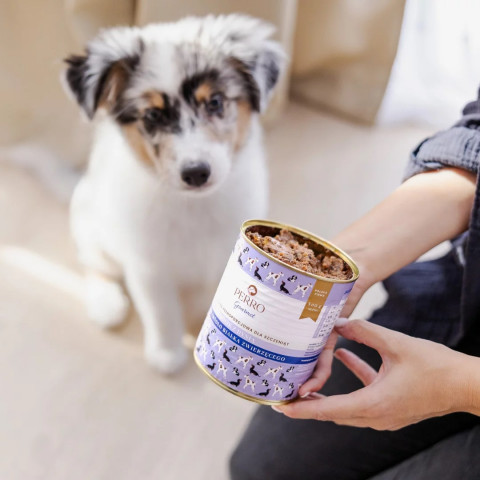 PERRO Junior Rabbit with pumpkin - vlhké krmivo pro psy - 800g - Fotogalerie 4