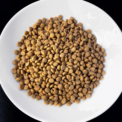 VET RESPONSE Weight balance - suché krmivo pro kočky - 1,6kg - Fotogalerie 2