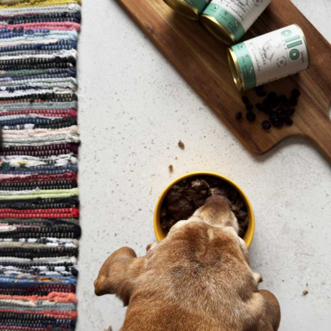 OLLO Umami Goose and turkey - vlhké krmivo pro psy - 850g - Fotogalerie 4