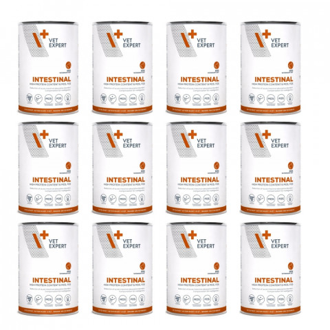 VETEXPERT Veterinary Diet Intestinal Dog - vlhké krmivo pro psy - 12x400g - Fotogalerie 1