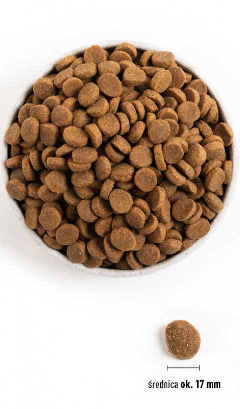 ACANA Adult Large Breed - suché krmivo pro psy - 11,4kg - Fotogalerie 2