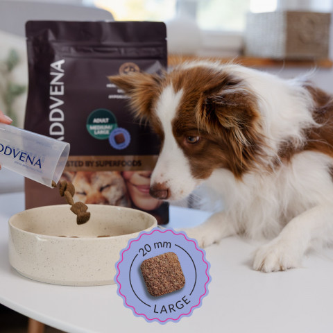 ADDVENA Boosted by superfoods Adult Medium/Large Beef - suché krmivo pro psy - 2,5kg - Fotogalerie 4