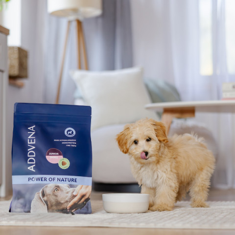 ADDVENA Power of Nature Junior Small 10 kg + ZDARMA! Boosted by Superfoods Junior Medium/Large 2,5 kg - Fotogalerie 4