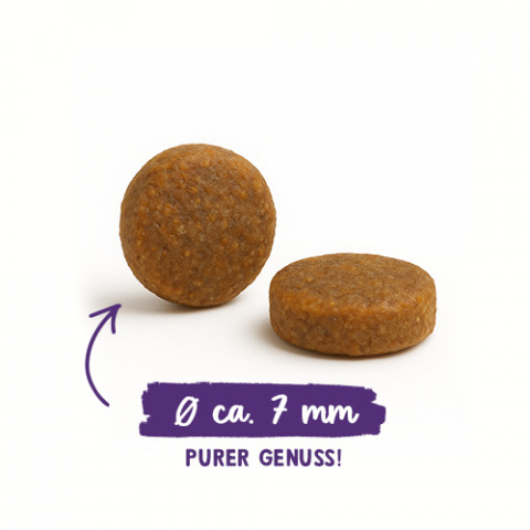 BOSCH Sanabelle Adult Ostrich & Blueberries - suché krmivo pro kočky - 2kg - Fotogalerie 3