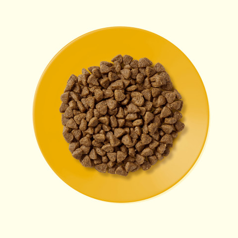 APPLAWS Kitten Chicken - suché krmivo pro kočky - 2kg - Fotogalerie 2