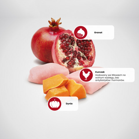 Farmina Pet Food 8010276033635 suché krmivo pro psy 2,5 g Dospělý jedinec Kuřecí maso - Fotogalerie 7