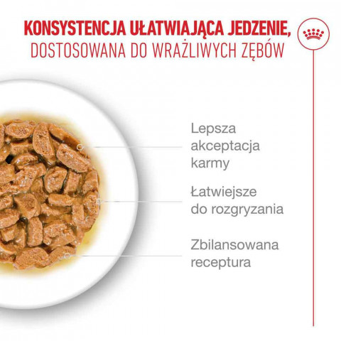 ROYAL CANIN Ageing 11+ Chunks in gravy - mokré krmivo pro kočky - 12x85g - Fotogalerie 10