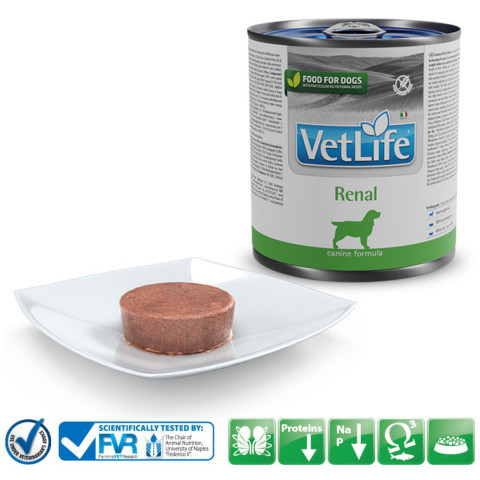 Farmina Pet Food Vet Life Renal Dospělý jedinec 300 g - Fotogalerie 3