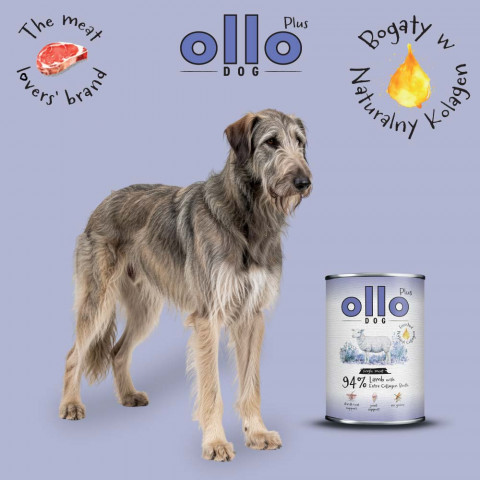 OLLO Plus Collagen Mono Lamb - vlhké krmivo pro psy - 800g - Fotogalerie 3