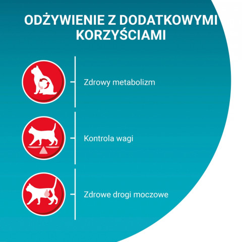 PURINA One Bifensis Sterilcat Beef - suché krmivo pro kočky - 800 g - Fotogalerie 6