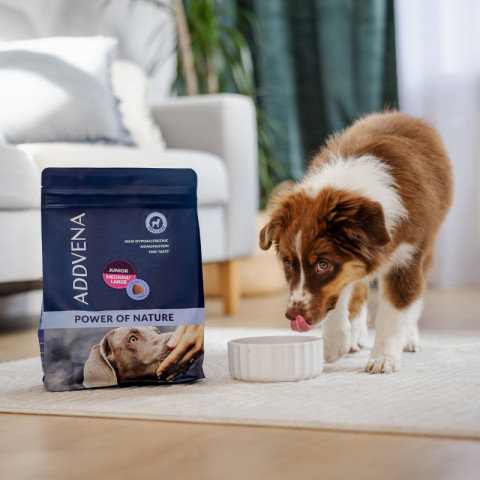 ADDVENA Power of Nature Junior Medium/Large Lamb - suché krmivo pro psy - 2,5kg - Fotogalerie 3