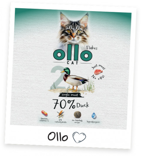 OLLO Cat No. 2 Duck Mono - mokré krmivo pro kočky - 85g - Fotogalerie 2