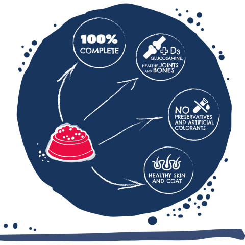 TEO Rich in beef - suché krmivo pro psy - 9kg - Fotogalerie 2