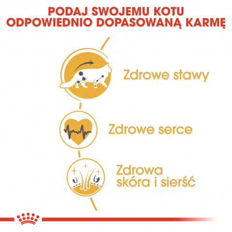 ROYAL CANIN FBN Maine Coon Adult suché krmivo pro kočky - 10kg - Fotogalerie 8