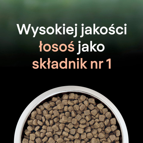 PURINA Pro Plan LiveClear Sterilised Rich in salmon - suché krmivo pro kočky - 1,4kg - Fotogalerie 5