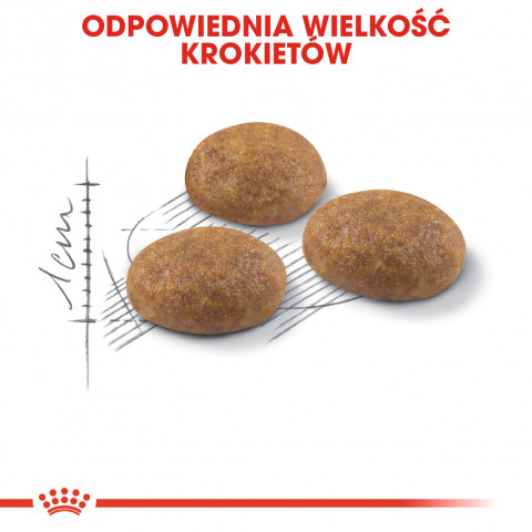 Royal Canin Outdoor suché krmivo pro kočky 2 kg - Fotogalerie 8