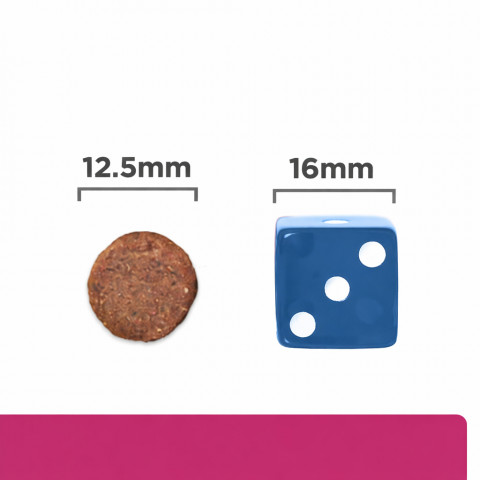 HILL'S Prescription Diet Gastrointestinal Biome s kuřetem – suché krmivo pro psy – 10 kg - Fotogalerie 2