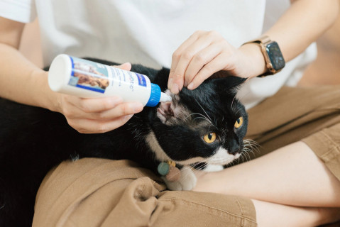 VIRBAC EpiOtic Ear Cleanser - tekutý přípravek na péči o uši pro psy a kočky - 60 ml - Fotogalerie 3