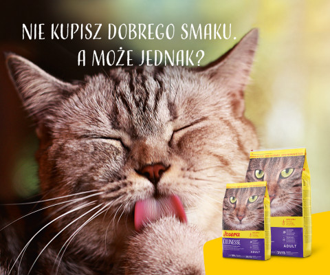 Josera Culinesse suché krmivo pro kočky 2 kg Dospělý jedinec Drůbež, Losos - Fotogalerie 3