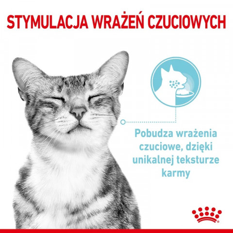 ROYAL CANIN Sensory Feel - mokré krmivo pro kočky - 12x85g - Fotogalerie 5