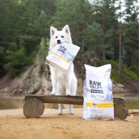 RAW PALEO Ultra Medium&Large Adult Turkey - suché krmivo pro psy - 10 kg - Fotogalerie 3