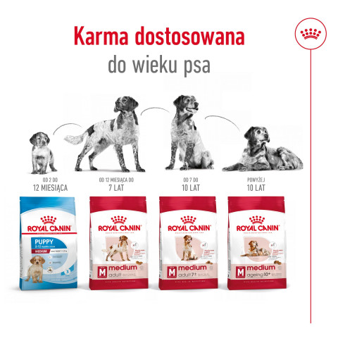 ROYAL CANIN Suché krmivo pro psy SHN Medium Adult BF 15 kg + SHN Medium Adult Loaf konzerva 410 g ZDARMA - Fotogalerie 6