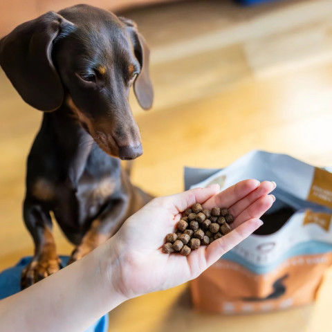 PERRO Beef with sweet potatoes Small breed dogs - suché krmivo pro psy - 3kg - Fotogalerie 2