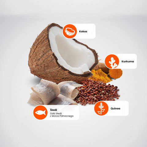 FARMINA N&D Quinoa Skin&Coat Cat Herring and Coconut Adult - suché krmivo pro kočky - 300 g - Fotogalerie 12