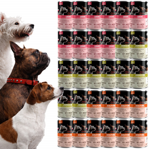 PET REPUBLIC Adult Medium & Small kousky v omáčce Mix chutí - mokré krmivo pro psy - 30x400 g - Fotogalerie 1