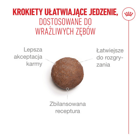 ROYAL CANIN Ageing 15+ - suché krmivo pro kočky - 2kg - Fotogalerie 8