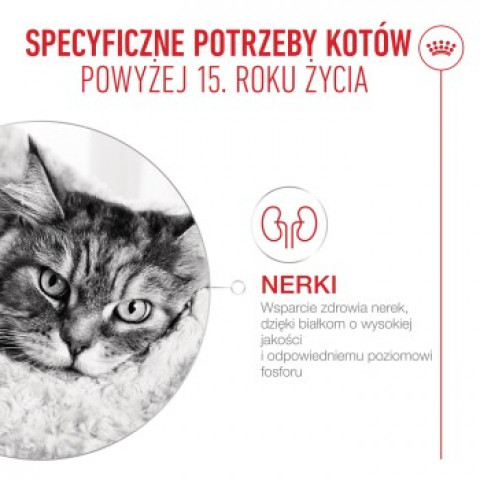ROYAL CANIN Ageing 15+ Chunks in gravy - mokré krmivo pro kočky - 12x85g - Fotogalerie 5