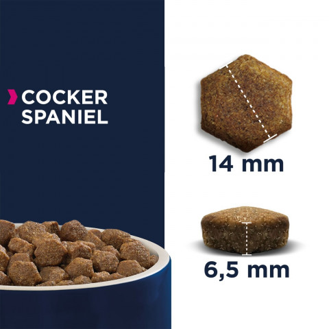 EUKANUBA Breed Specific Cocker Spaniel Adult - suché krmivo pro psy - 7,5kg - Fotogalerie 3