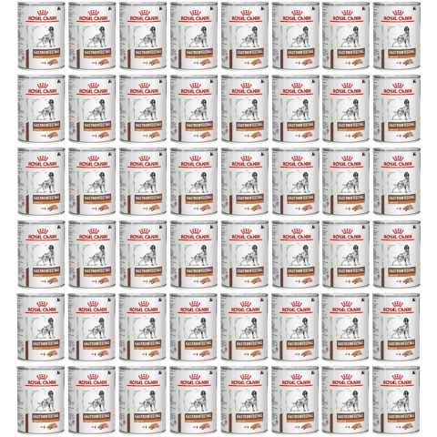 ROYAL CANIN Veterinary Diet Canine Gastrointestinal Low Fat – mokré krmivo pro psy – 48×420 g - Fotogalerie 1