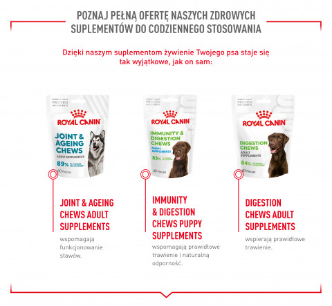 ROYAL CANIN Supplements Dog Skin & Coat Adult - vitamíny pro psa - 240g - Fotogalerie 7