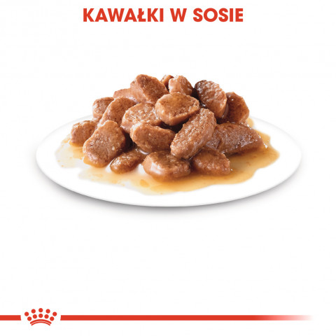ROYAL CANIN FHN Instinctive - mokrá paštika pro dospělé kočky - 12x 85g - Fotogalerie 8